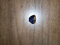 Surron/talaria/eride Titanium Axle Nut